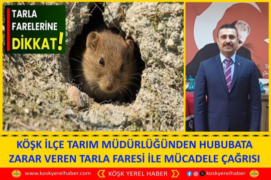 KÖŞK İLÇE TARIM MÜDÜRLÜĞÜNDEN HUBUBATA ZARAR VEREN TARLA FARESİ İLE MÜCADELE ÇAĞRISI