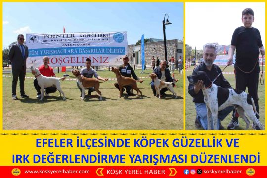 EFELER İLÇESİNDE KÖPEK GÜZELLİK VE IRK DEĞERLENDİRME YARIŞMASI DÜZENLENDİ 