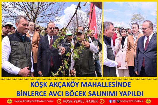KÖŞK AKÇAKÖY MAHALLESİNDE BİNLERCE AVCI BÖCEK SALINIMI YAPILDI 