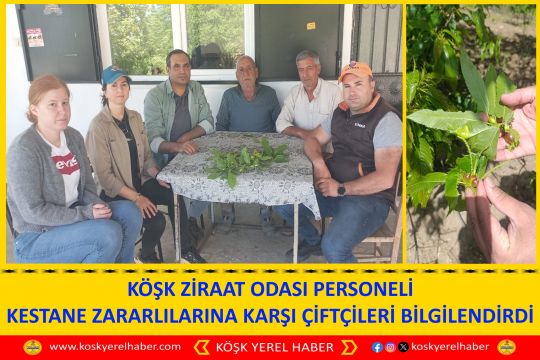 KÖŞK ZİRAAT ODASI PERSONELİ KESTANE ZARARLILARINA KARŞI ÇİFTÇİLERİ BILGİLENDIRDİ