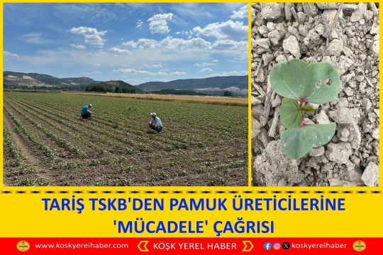 TARİŞ TSKB