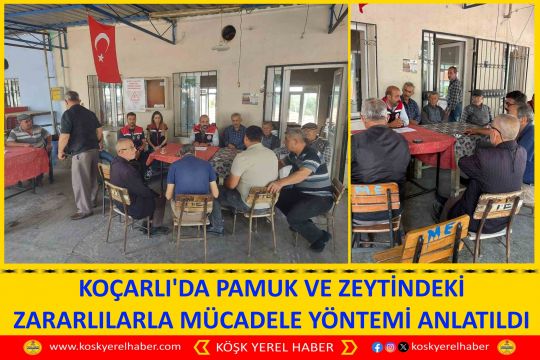 KOÇARLI