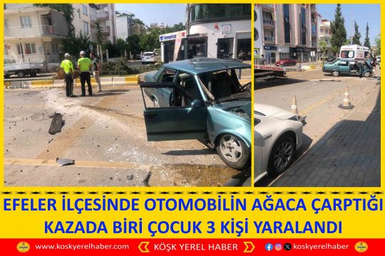 EFELER İLÇESİNDE OTOMOBİLİN AĞACA ÇARPTIĞI KAZADA BİRİ ÇOCUK 3 KİŞİ YARALANDI
