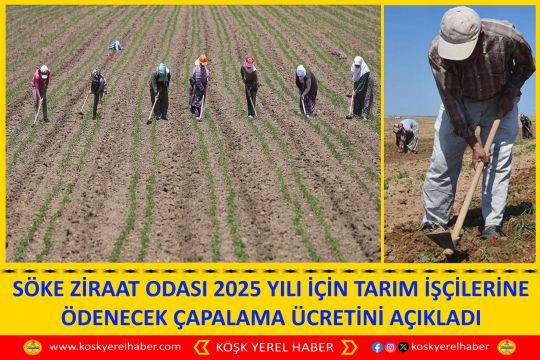 SÖKE ZİRAAT ODASI 2025 YILI İÇİN TARIM İŞÇİLERİNE ÖDENECEK ÇAPALAMA ÜCRETİNİ AÇIKLADI
