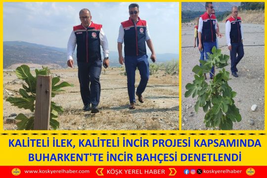KALİTELİ İLEK, KALİTELİ İNCİR PROJESİ KAPSAMINDA BUHARKENT