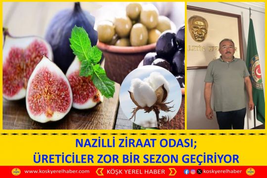 NAZİLLİ ZİRAAT ODASI; ÜRETİCİLER ZOR BİR SEZON GEÇİRİYOR
