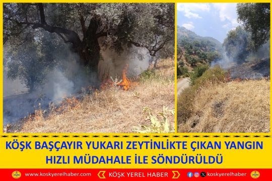 KÖŞK BAŞÇAYIR YUKARI ZEYTİNLİKTE ÇIKAN YANGIN HIZLI MÜDAHALE İLE SÖNDÜRÜLDÜ