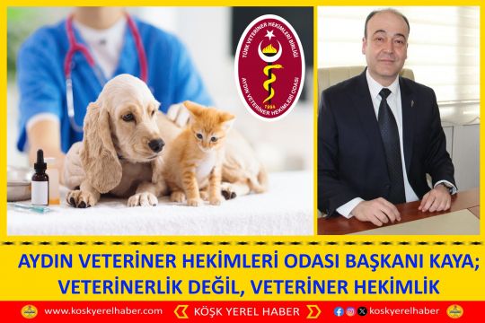 AYDIN VETERİNER HEKİMLERİ ODASI BAŞKANI KAYA; VETERİNERLİK DEĞİL, VETERİNER HEKİMLİK