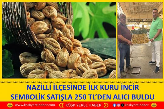 NAZİLLİ İLÇESİNDE İLK KURU İNCİR SEMBOLİK SATIŞLA 250 TL’DEN ALICI BULDU