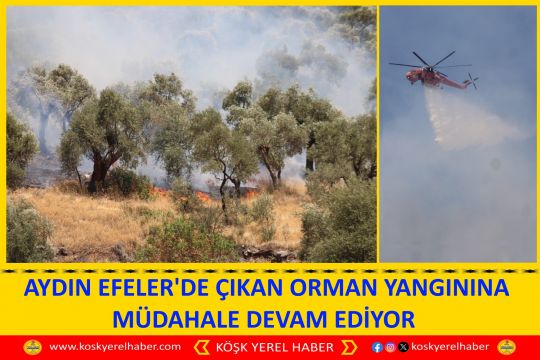 AYDIN EFELER'DE ÇIKAN ORMAN YANGININA MÜDAHALE DEVAM EDİYOR 