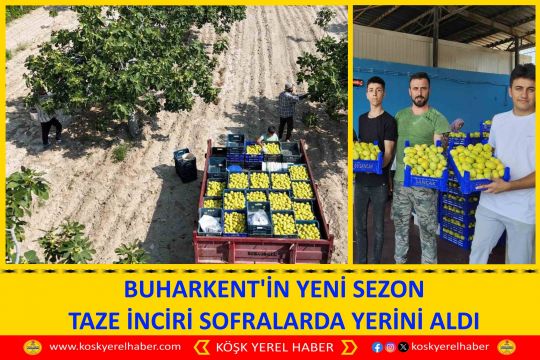  BUHARKENT