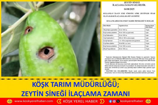 KÖŞK TARIM MÜDÜRLÜĞÜ; ZEYTİN SİNEĞİ İLAÇLAMA ZAMANI