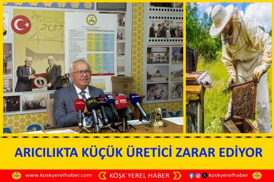 ARICILIKTA KÜÇÜK ÜRETİCİ ZARAR EDİYOR