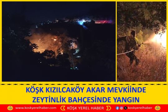 KÖŞK KIZILCAKÖY AKAR MEVKİİNDE ZEYTİNLİK BAHÇESİNDE YANGIN