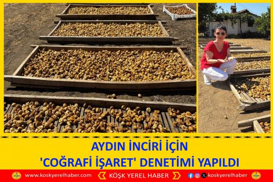 AYDIN İNCİRİ İÇİN 'COĞRAFİ İŞARET' DENETİMİ YAPILDI