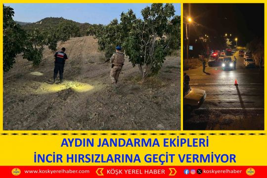 AYDIN JANDARMA EKİPLERİ İNCİR HIRSIZLARINA GEÇİT VERMİYOR
