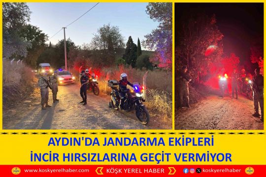 AYDIN'DA JANDARMA EKİPLERİ İNCİR HIRSIZLARINA GEÇİT VERMİYOR
