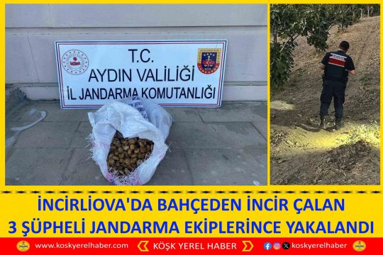 İNCİRLİOVA'DA BAHÇEDEN İNCİR ÇALAN 3 ŞÜPHELİ JANDARMA EKİPLERİNCE YAKALANDI