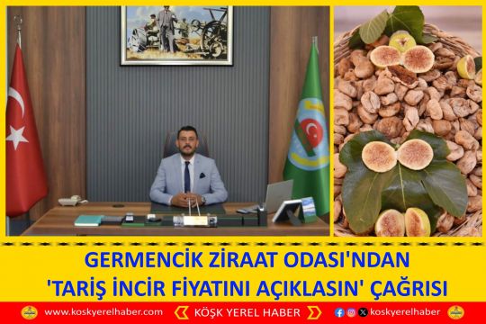 GERMENCİK ZİRAAT ODASI'NDAN 'TARİŞ İNCİR FİYATINI AÇIKLASIN' ÇAĞRISI