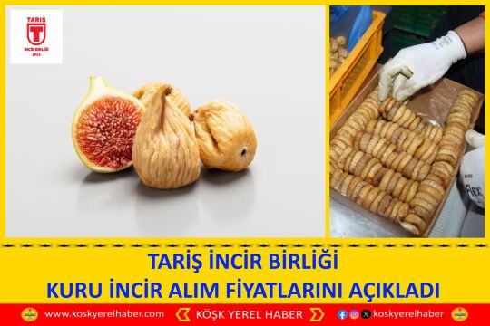 TARİŞ İNCİR BİRLİĞİ KURU İNCİR ALIM FİYATLARINI AÇIKLADI