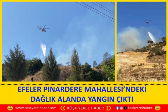 EFELER PINARDERE MAHALLESI’NDEKİ DAĞLIK ALANDA YANGIN ÇIKTI
