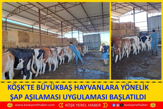 KÖŞK