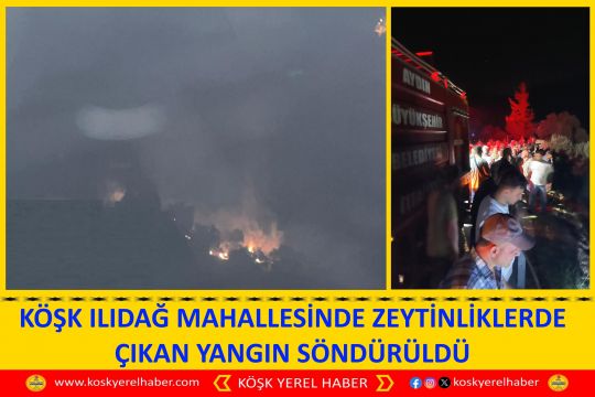 KÖŞK ILIDAĞ MAHALLESİNDE ZEYTİNLİKLERDE ÇIKAN YANGIN SÖNDÜRÜLDÜ