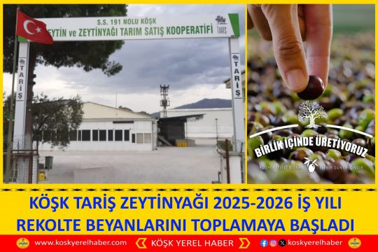KÖŞK TARİŞ ZEYTİNYAĞI 2025-2026 İŞ YILI REKOLTE BEYANLARINI TOPLAMAYA BAŞLADI