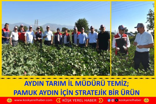 AYDIN TARIM İL MÜDÜRÜ TEMİZ; PAMUK AYDIN İÇİN STRATEJİK BİR ÜRÜN
