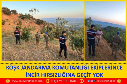 KÖŞK JANDARMA KOMUTANLIĞI EKİPLERİNCE İNCİR HIRSIZLIĞINA GEÇİT YOK