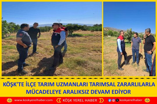 KÖŞK'TE İLÇE TARIM UZMANLARI TARIMSAL ZARARLILARLA MÜCADELEYE ARALIKSIZ DEVAM EDİYOR 
