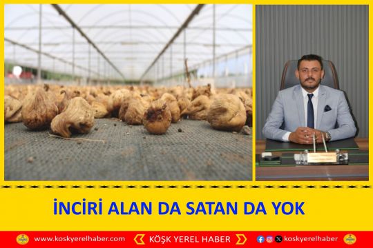 İNCİRİ ALAN DA SATAN DA YOK
