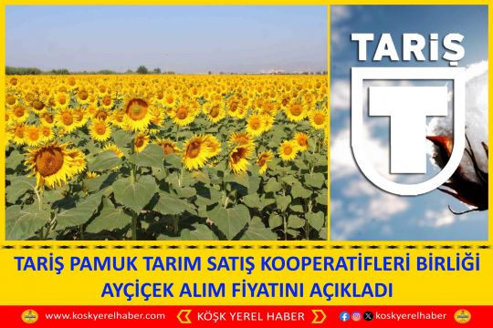 TARİŞ PAMUK TARIM SATIŞ KOOPERATİFLERİ BİRLİĞİ AYÇİÇEK ALIM FİYATINI AÇIKLADI