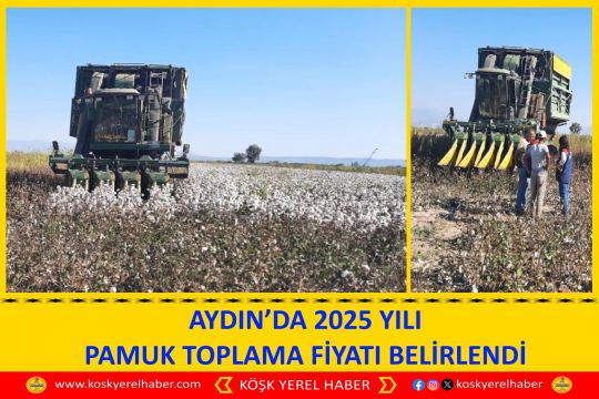 AYDIN’DA 2025 YILI PAMUK TOPLAMA FİYATI BELİRLENDİ
