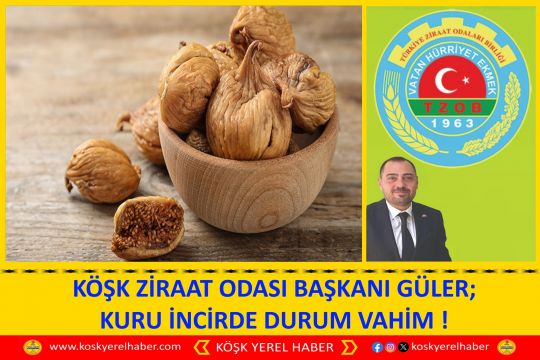 KÖŞK ZİRAAT ODASI BAŞKANI GÜLER; KURU İNCİRDE DURUM VAHİM !