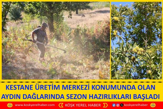 KESTANE ÜRETİM MERKEZİ KONUMUNDA OLAN AYDIN DAĞLARINDA SEZON HAZIRLIKLARI BAŞLADI