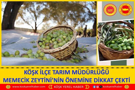KÖŞK İLÇE TARIM MÜDÜRLÜĞÜ MEMECİK ZEYTİNİ’NİN ÖNEMİNE DİKKAT ÇEKTİ