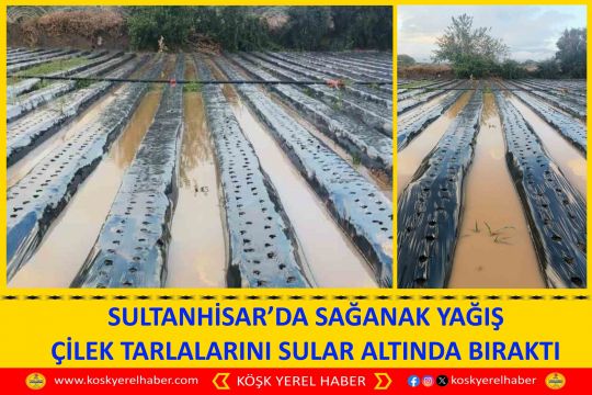SULTANHİSAR’DA SAĞANAK YAĞIŞ ÇİLEK TARLALARINI SULAR ALTINDA BIRAKTI