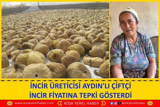 İNCİR ÜRETİCİSİ AYDIN'LI ÇİFTÇİ İNCİR FİYATINA TEPKİ GÖSTERDİ
