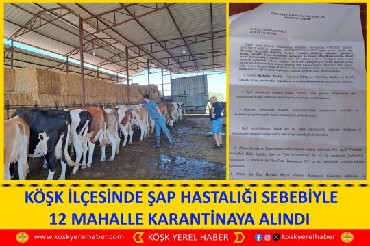 KÖŞK İLÇESINDE ŞAP HASTALIĞI SEBEBİYLE 12 MAHALLE KARANTİNAYA ALINDI 