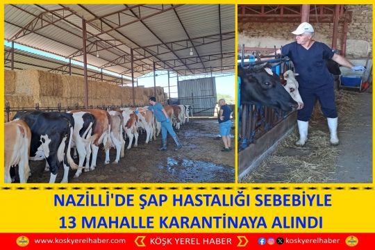 NAZİLLİ'DE ŞAP HASTALIĞI SEBEBİYLE 13 MAHALLE KARANTİNAYA ALINDI