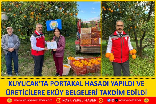 KUYUCAK'TA PORTAKAL HASADI YAPILDI VE ÜRETİCİLERE EKÜY BELGELERİ TAKDİM EDİLDİ