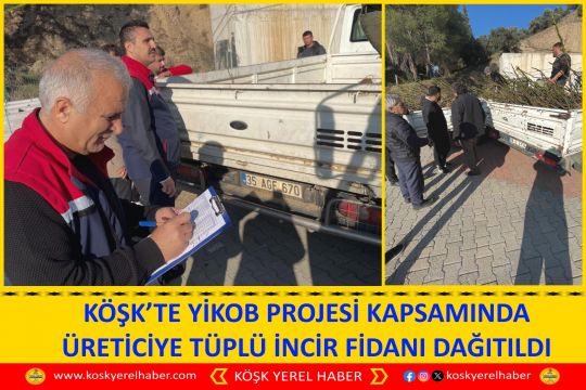 KÖŞK’TE YİKOB PROJESİ KAPSAMINDA ÜRETİCİYE TÜPLÜ İNCİR FİDANI DAĞITILDI