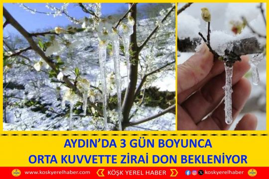 AYDIN’DA 3 GÜN BOYUNCA ORTA KUVVETTE ZİRAI DON BEKLENİYOR