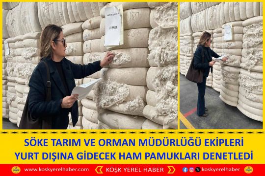 SÖKE TARIM VE ORMAN MÜDÜRLÜĞÜ EKİPLERİ YURT DIŞINA GİDECEK HAM PAMUKLARI DENETLEDİ