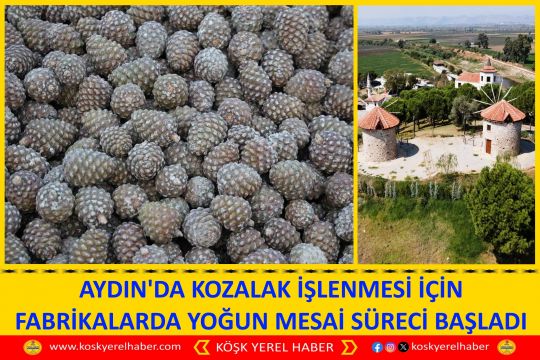 AYDIN'DA KOZALAK İŞLENMESİ İÇİN FABRİKALARDA YOĞUN MESAİ SÜRECİ BAŞLADI