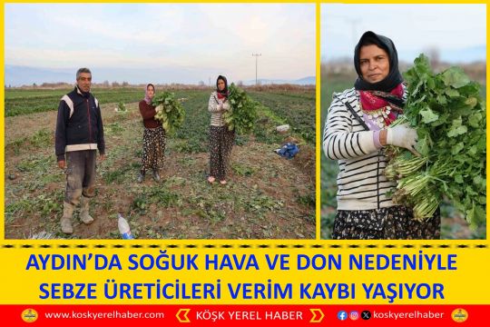 AYDIN’DA SOĞUK HAVA VE DON NEDENİYLE SEBZE ÜRETİCİLERİ VERİM KAYBI YAŞIYOR