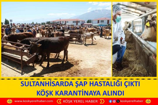 SULTANHİSARDA ŞAP HASTALIĞI ÇIKTI KÖŞK KARANTİNAYA ALINDI