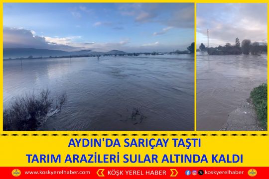 AYDIN'DA SARIÇAY TAŞTI TARIM ARAZİLERİ SULAR ALTINDA KALDI