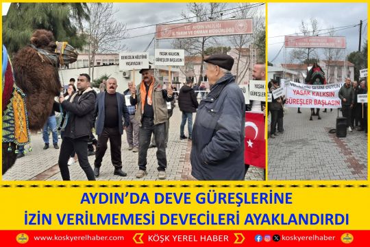 AYDIN’DA DEVE GÜREŞLERİNE İZİN VERİLMEMESİ DEVECİLERİ AYAKLANDIRDI